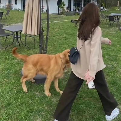 他们叫我吉克
